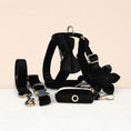 Load image into Gallery viewer, Black Velvet Set

