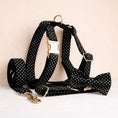 Load image into Gallery viewer, Black Polka Dot Print Set
