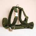 Load image into Gallery viewer, Cozy Olive Teddy Set
