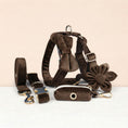 Load image into Gallery viewer, Dark Brown Velvet Set
