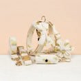 Load image into Gallery viewer, Ivory Gold Leaf Velvet Set

