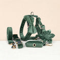 Load image into Gallery viewer, Forest Green Velvet Set
