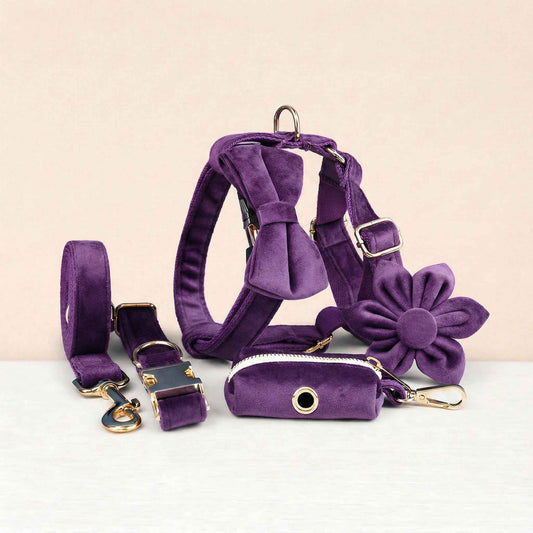 Velvet Purple Set