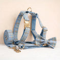 Load image into Gallery viewer, Blue Plaid Set
