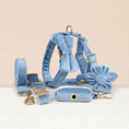 Load image into Gallery viewer, Blue Velvet Set
