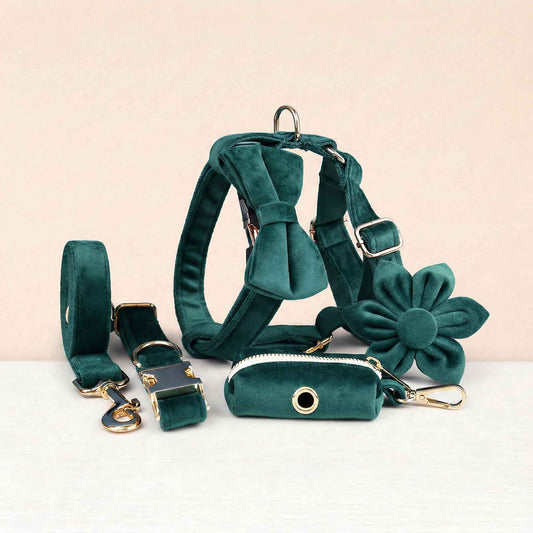 Green Velvet Set