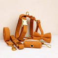 Load image into Gallery viewer, Orange Corduroy Set
