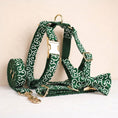Load image into Gallery viewer, Emerald Swirl Print Set
