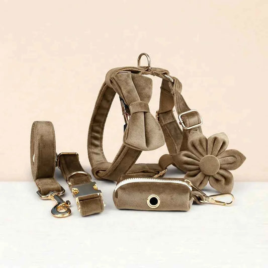 Shallow Khaki Velvet Set