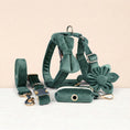 Load image into Gallery viewer, Velvet Forest Teal Set
