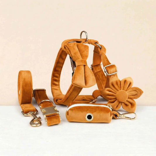 Orange Velvet Set