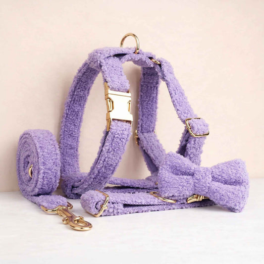 Teddy Purple Set