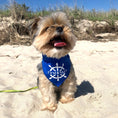 Load image into Gallery viewer, First Mate Dog Bandana
