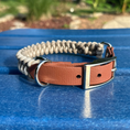 Load image into Gallery viewer, Fishtail Hand Braided Dog Collar in Tan & Cream
