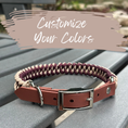 Load image into Gallery viewer, Fishtail Braid Handmade Dog Collar - Customize Your Colors
