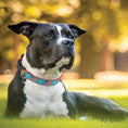 Load image into Gallery viewer, Flag Day Dog Collar
