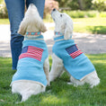 Load image into Gallery viewer, Flag Day Dog Collar
