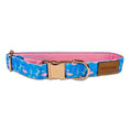 Load image into Gallery viewer, Flamingo Fiesta Collar
