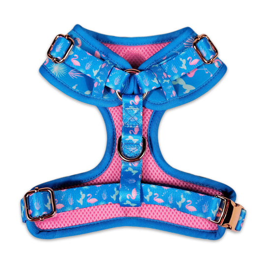 Flamingo Fiesta Harness - Southlake Paws