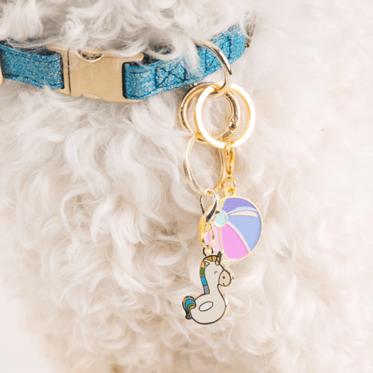 Unicorn Floatie & Beach Ball Pet Charm Set