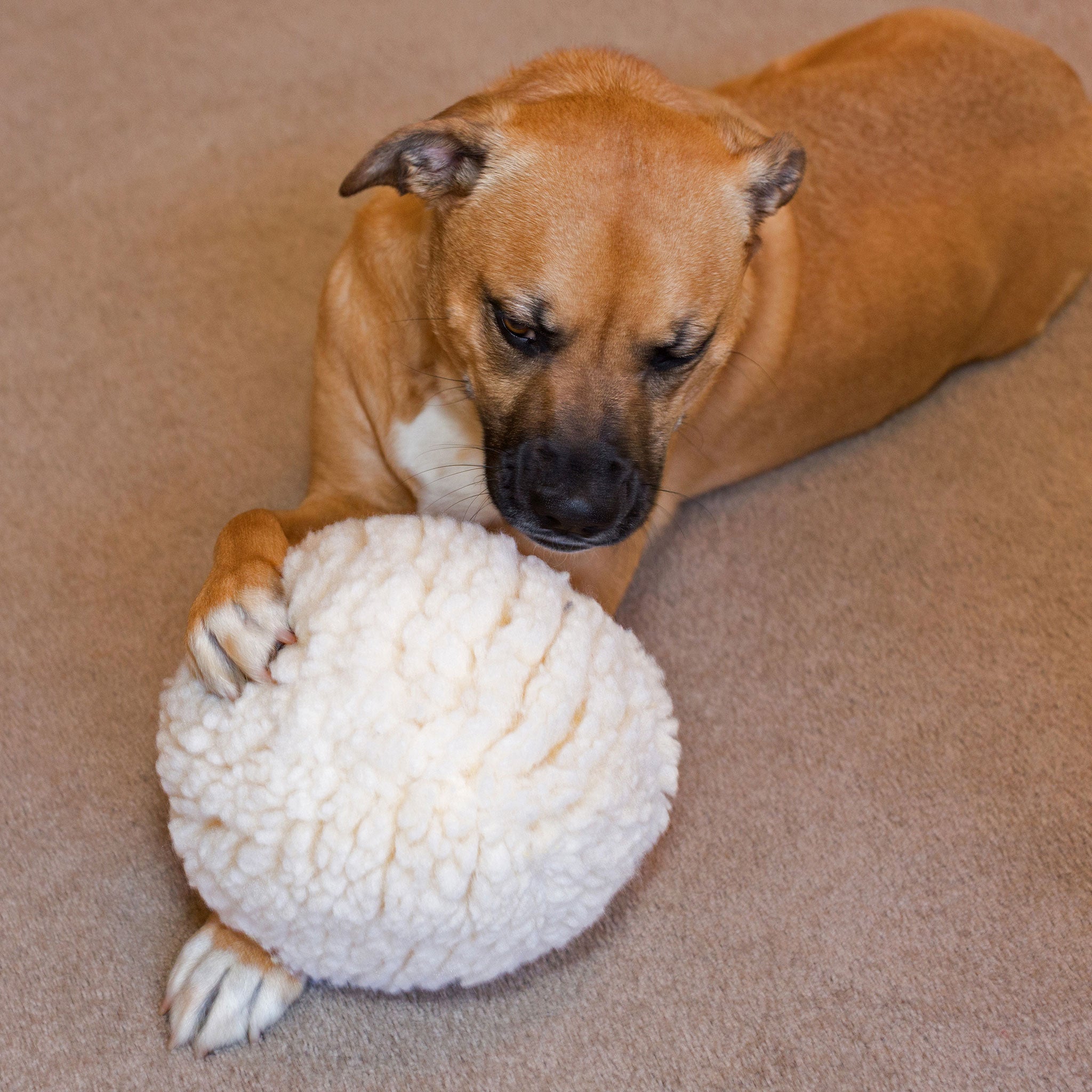 HuggleFleece® Plush Ball Dog Toy - image 6