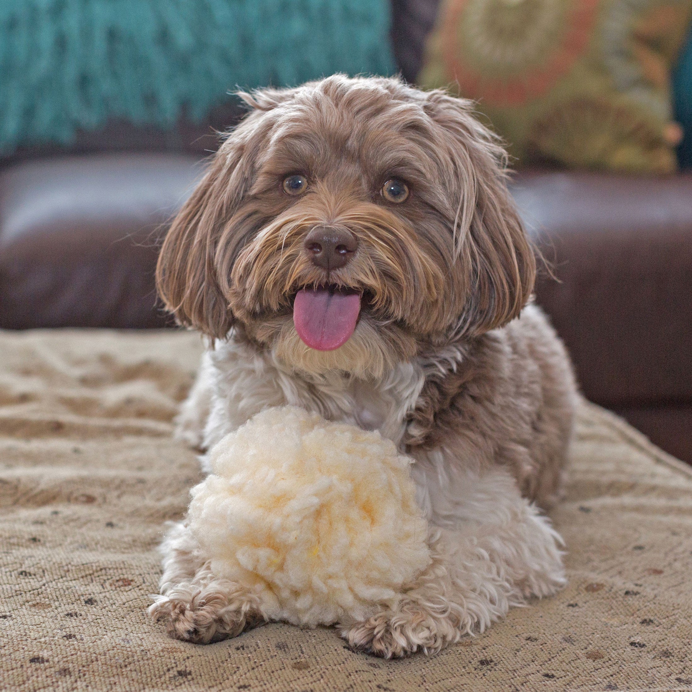 HuggleFleece® Plush Ball Dog Toy - image 7