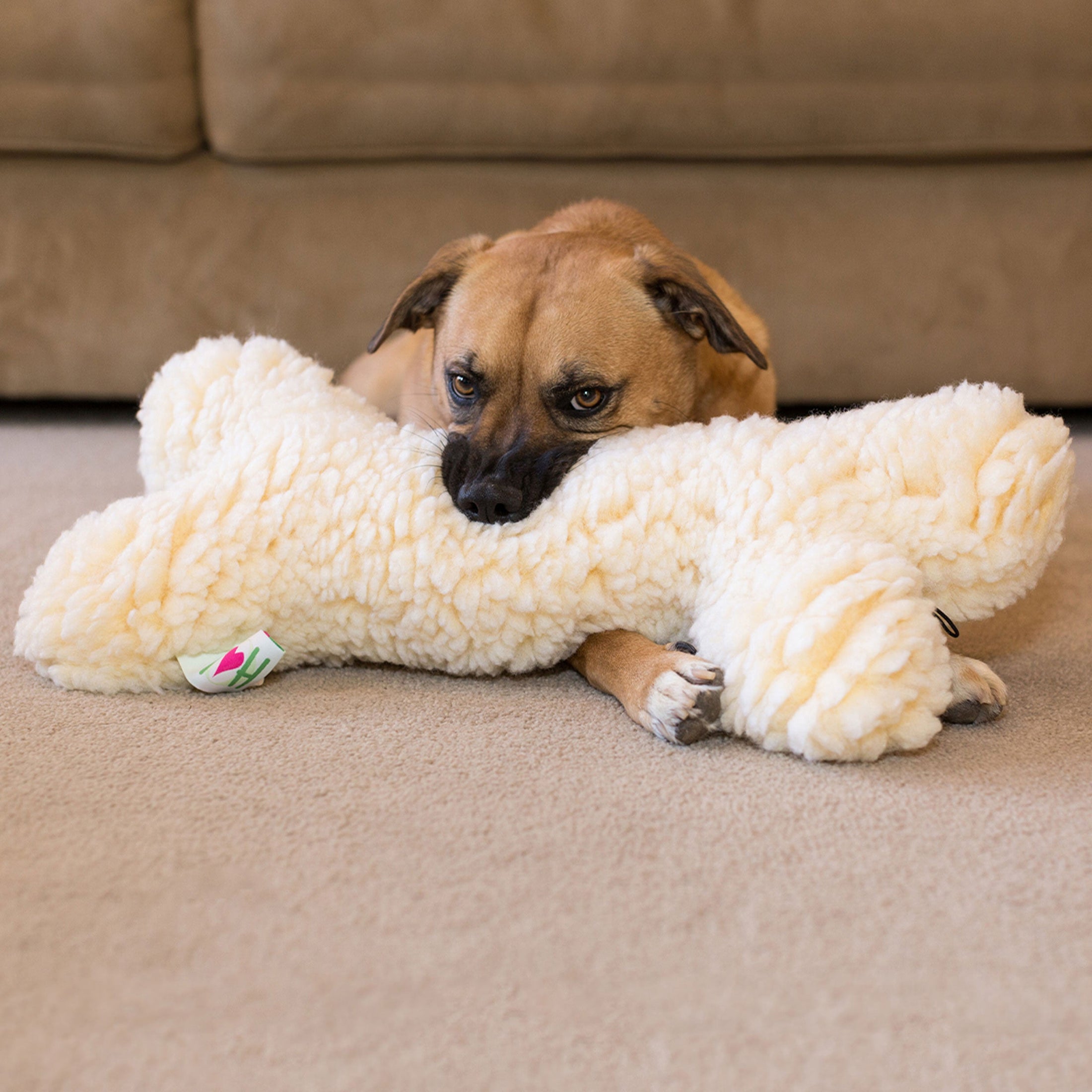 HuggleFleece® 2' Plush Bone Dog Toy - image 5