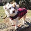 Load image into Gallery viewer, Buffalo Check Fleece Lined Coat
