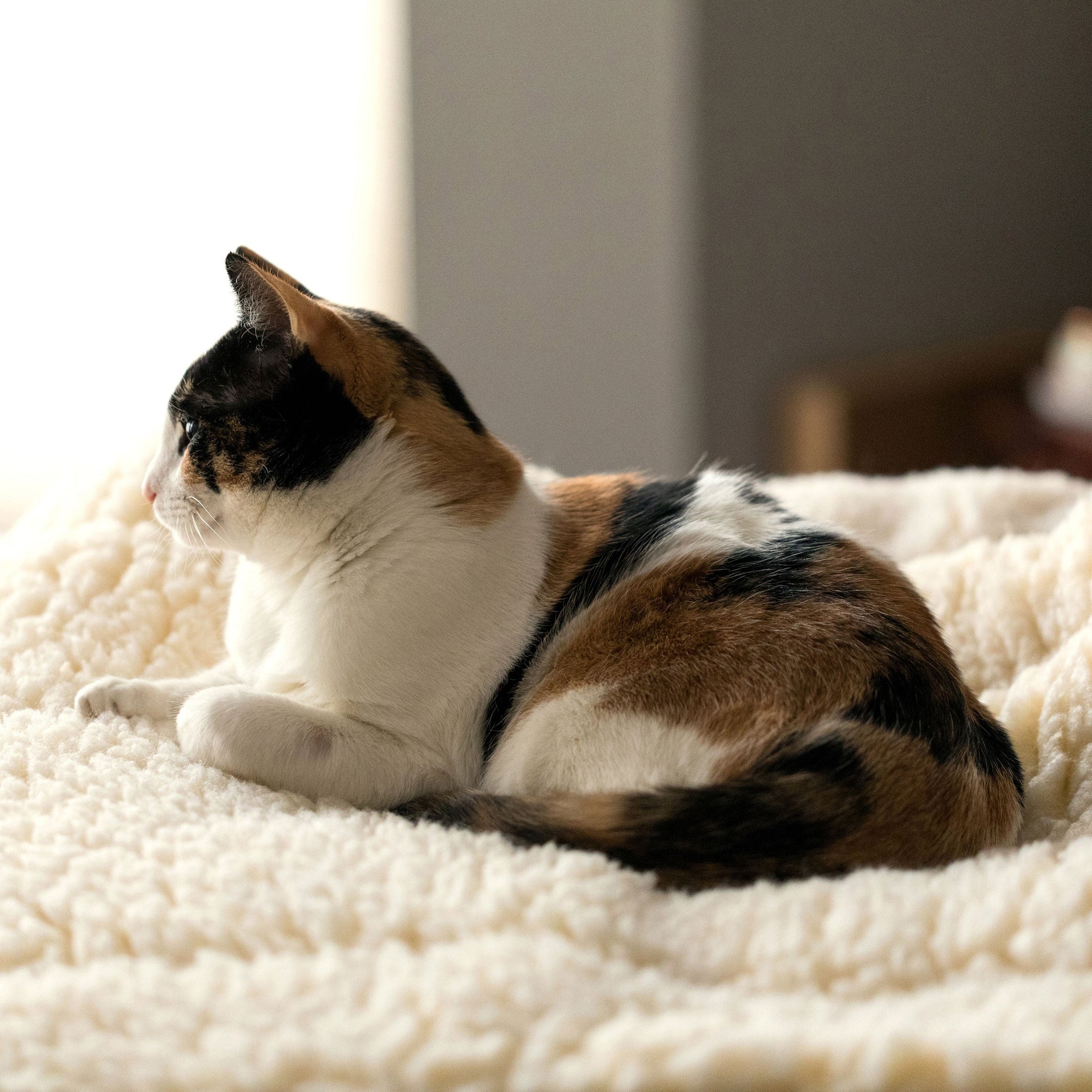 HuggleFleece® Mat Cat & Dog Bed - image 10