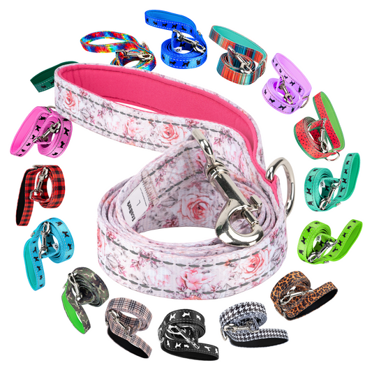 Dog leashes and collars in various designs and colors on a white background