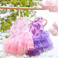 Load image into Gallery viewer, Floral Lace Chiffon Dog Tutu Dress
