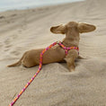 Load image into Gallery viewer, Flower Power Dog Lead

