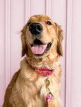 Load image into Gallery viewer, Flower Power Martingale
