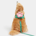 Load image into Gallery viewer, Flora Pet Harness & Backpack 3-in-1 Set - Southlake Paws
