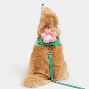 Flora Pet Harness & Backpack 3-in-1 Set