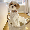 Load image into Gallery viewer, Flower Power Dog Collar

