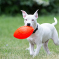 Load image into Gallery viewer, Jolly Football 
