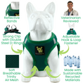 Load image into Gallery viewer, EcoBark Step In Dog Harness - XXXS to Small Breeds- Reflective Soft Mesh Harness for Teacup, Small Dogs and Puppies / Forest Green
