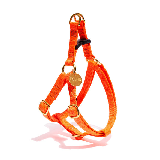 Found My Animal Orange Cotton Cat & Dog Harness – Adjustable, Durable & Stylish