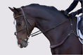 Load image into Gallery viewer, Free Motion Breastplate
