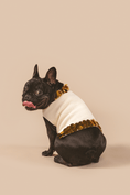 Load image into Gallery viewer, Fancy You Sweater - Southlake Paws
