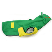 Frog Raincoat