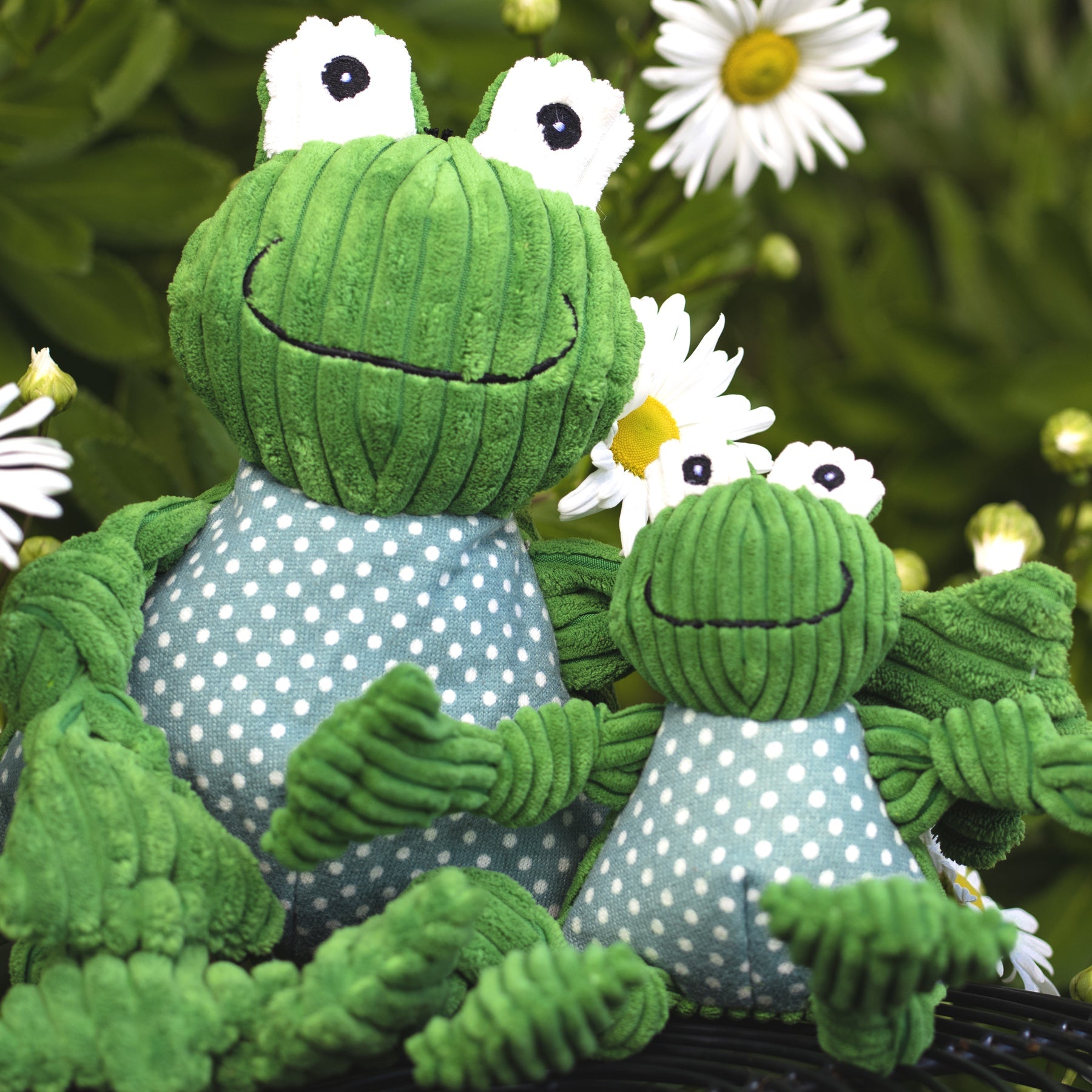 Fergie Frog Knottie® Plush Dog Toy - image 7