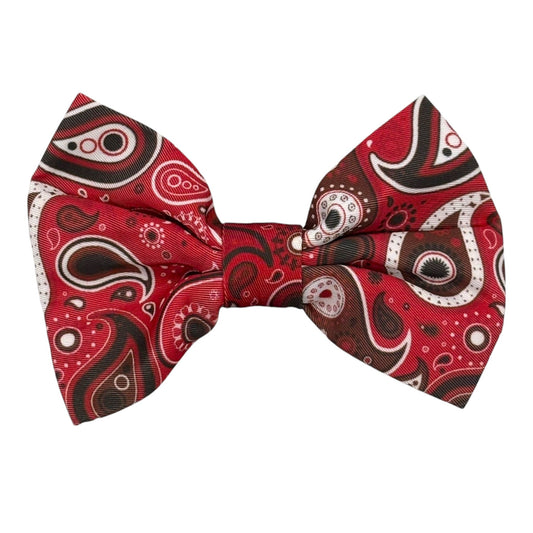 Red Paisley - Bow Tie