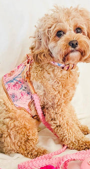 The Lady Dog Harness