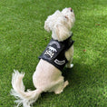 Load image into Gallery viewer, Pups of Anarchy - Faux Leather Harness
