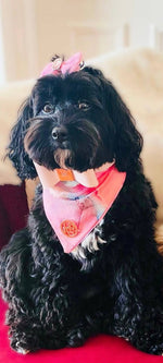 The Flamingo Scarf