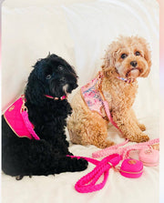 The Scarlet Dog Harness