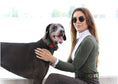 Load image into Gallery viewer, TKC Exclusive Holiday Christmas Tree Beaded Dog Collar
