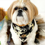 The Elegant  Scarf